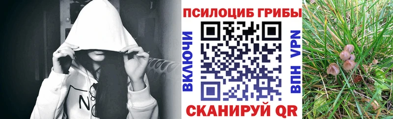 Галлюциногенные грибы мухоморы Саранск
